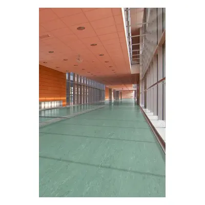 PVC Polyflor ULTRA XL PU 3810 tl. 2,0mm 200 cm