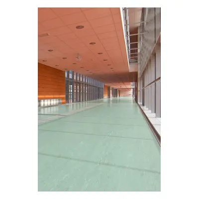 PVC Polyflor ULTRA XL PU 3790 tl. 2,0mm 200 cm