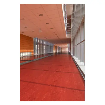 PVC Polyflor ULTRA XL PU 3840 tl. 2,0mm 200 cm