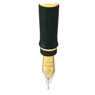 Waterman hrot Expert GT 1507/9096857