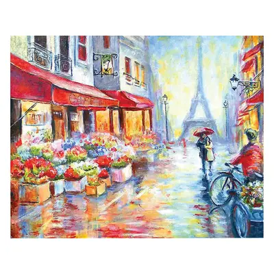 Centrum Malování podle čísel Paris 40 x 50 cm