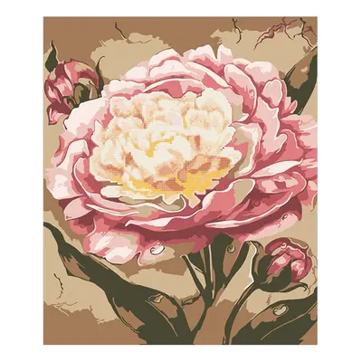 Centrum Diamantové malování Peony 40 x 50 cm 2v1