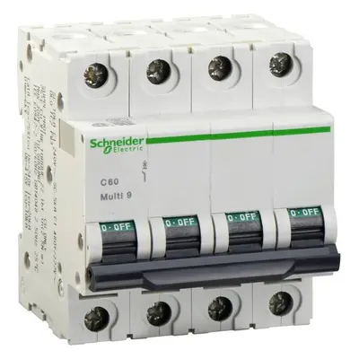 Jistič Schneider Electric 24483 10 A 240 V / AC, 440 V / AC, 415 V / AC