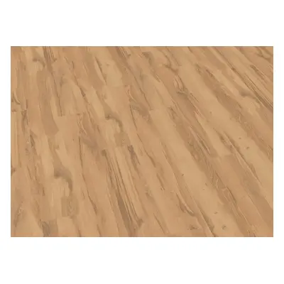 German Laminátová podlaha Excellent Oak Desert / tloušťka 8 mm / replika dubu / 1,86 m2 Varianta