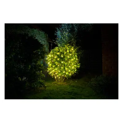 Světelná LED síť Light Creations / 60 LED / 1,2 x 1,2 m / venkovní / teplá bílá Varianta: ivi0