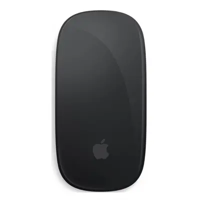 Bezdrátová myš Apple Magic Mouse (MMMQ3ZM/A) / 1300 DPI / černá Varianta: ivi1