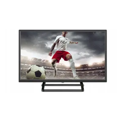 LED televize ODL 24950HE-TB / HD Ready / 24" (60 cm) / 1366 x 768 px / černá Varianta: ivi1