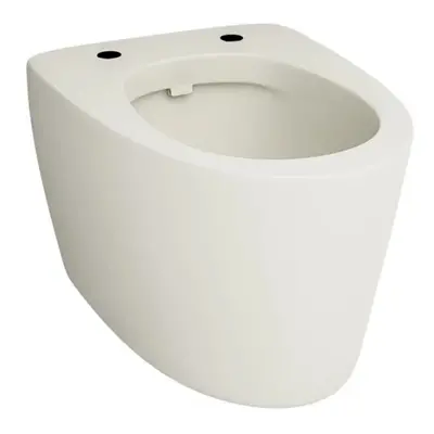 Závěsná WC mísa RAK Ceramics Feeling / sanitární keramika / bez WC sedátka / bílá / matná Varian