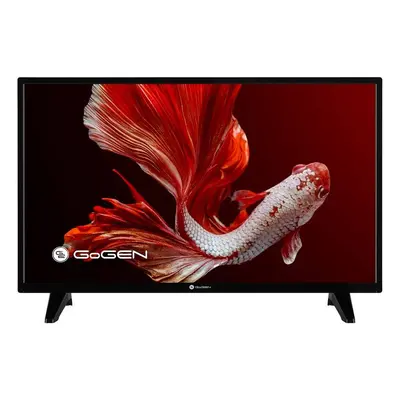 Televize GoGEN TVH 32P750 ST / LED / 1366 × 768 px / 32" (80 cm) / HD Ready / černá Varianta: iv