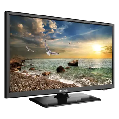 Televize Exclusiv EXL22-ODHDM / LED / 1920 x 1080 px / 22" (56 cm) / Full HD / černá Varianta: i