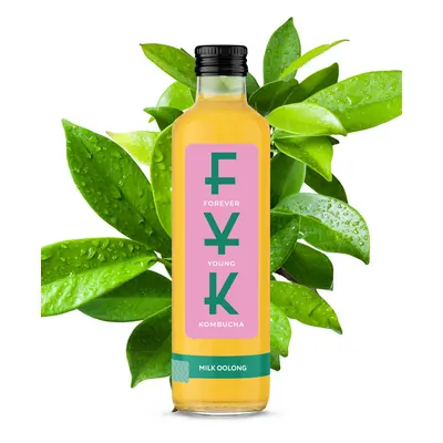 Kombucha Mléčný Oolong, balení 24 ks