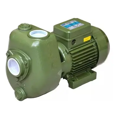 Čerpadlo SAER AP 97 A 230V