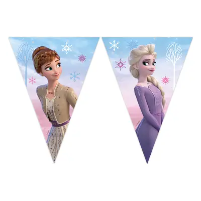 Vlaječkový banner “Frozen 2 - Ledové království”