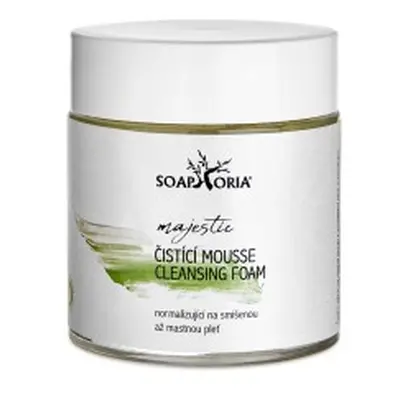 Osvěžující & normalizující čistící mousse na smíšenou až mastnou pleť