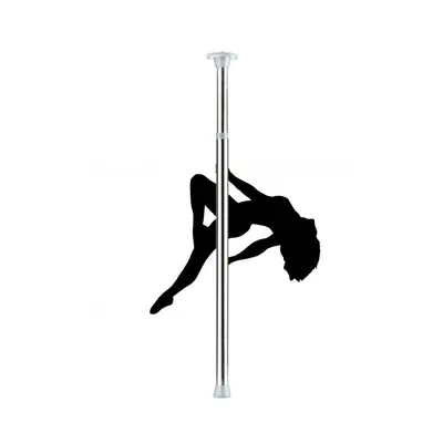 Ouch! Dance Pole Silver