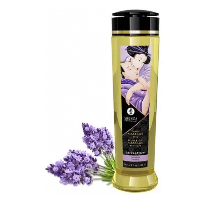 Shunga Sensation levandule 240ml