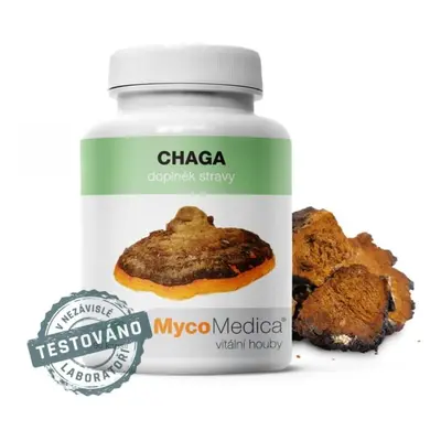 Chaga v optimální koncentraci MycoMedica 90 rostlinných kapslí