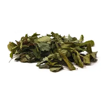 Jahodník obecný, jahoda - list - Fragaria vesca - Folium fragariae 250 g