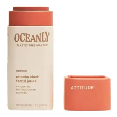 Tuhá krémová tvářenka ATTITUDE Oceanly - Ginger 8,5g