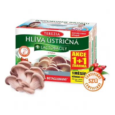 Hlíva ústřičná + laktobacily TEREZIA 60+60 kapslí