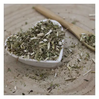 Zlatobýl obecný - nať nařezaná - Solidago virgaurea - Herba solidaginis virgaureae 1000 g