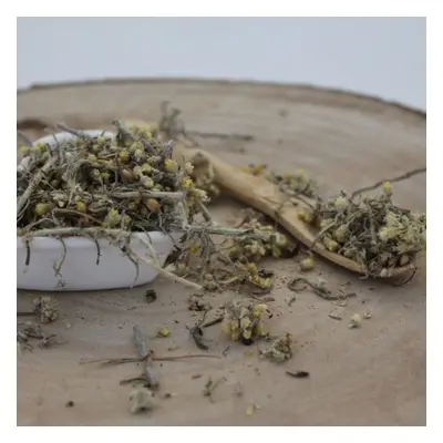 Slaměnka italská - nať nařezaná - Helichrysum italicum - Herba helichrysi 50 g