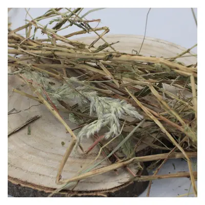 Kyprina/vrbovka úzkolistá - nať celá - Epilobium angustifolium - Herba chamaerioni 1000 g