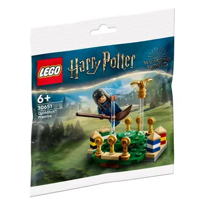 LEGO LEGO® Harry Potter™ 30651 Famfrpálový trénink