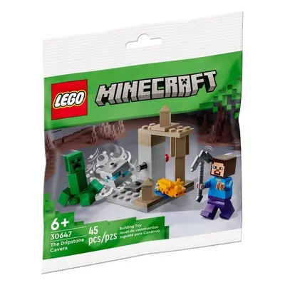 LEGO LEGO® Minecraft® 30647 The Dripstone Cavern