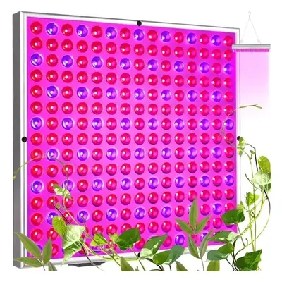 Závěsné svítidlo pro růst rostlin Gardlov - 225 LED