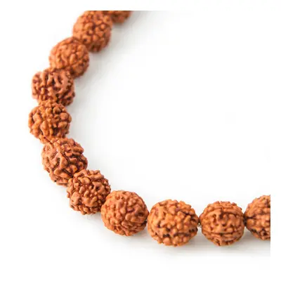 Korálek ze semínka Rudraksha dobarvovaný 10mm - 30 ks