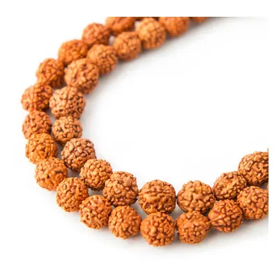 Korálek ze semínka Rudraksha dobarvovaný 8mm - 40 ks