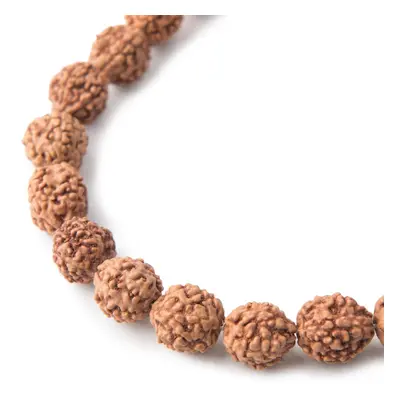 Korálek ze semínka Rudraksha přírodní nebarvený 10mm - 30 ks