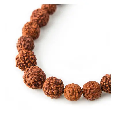 Korálek ze semínka Rudraksha dobarvovaný 12mm - 15 ks