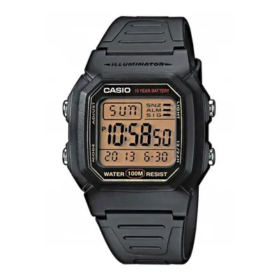 Pánské hodinky CASIO W-800HG-9AVDF Klasické + BOX