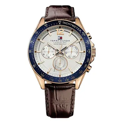 Pánské hodinky TOMMY HILFIGER 1791118 (zf066a)