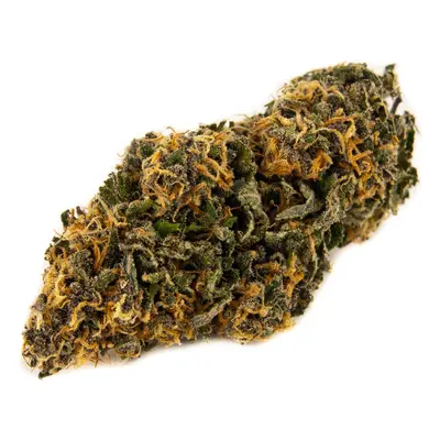 CBD konopí - Blue Amnesia - Weedshop Váha: 1 g