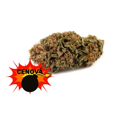 CBD konopí - Amnesia Haze - Weedshop - 0,7 % THC Váha: 1 g