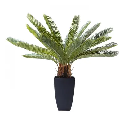 KARE Design Dekorativní rostlina Cycas Tree 78 cm