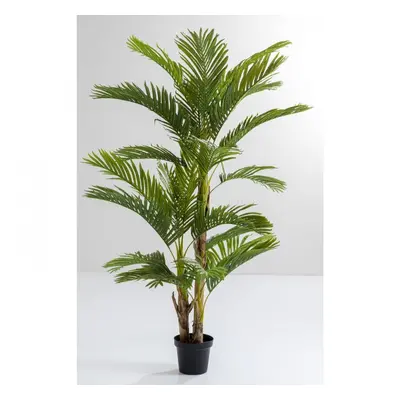 KARE Design Dekorativní rostlina Palm Tree 190cm