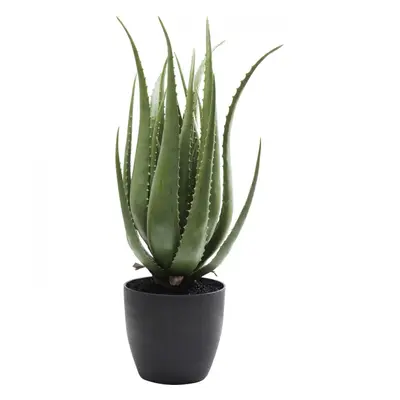 KARE Design Umělá rostlina Aloe 69cm