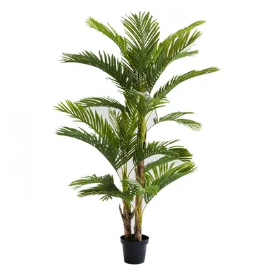 KARE Design Dekorativní rostlina Palm Tree 190cm