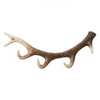 KARE Design Nástěnný věšák Antler - přírodní, 35cm