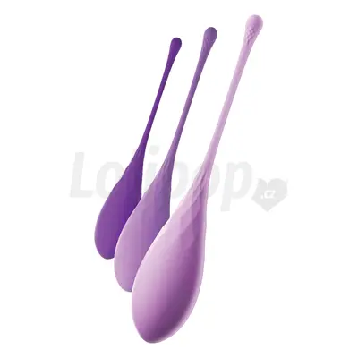 Pipedream Fantasy for Her Kegel Train-Her Set Purple