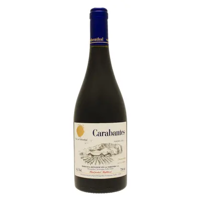 Vina von Siebenthal Carabantes Syrah 2020