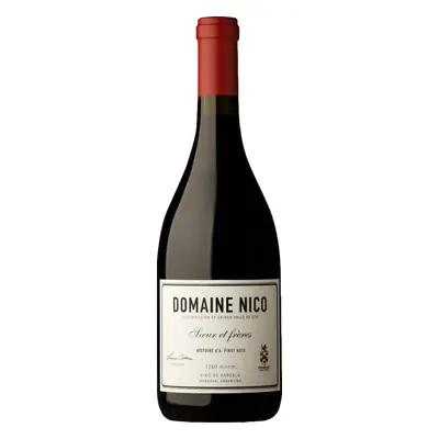 Domaine Nico Histoire d'A Pinot Noir 2021