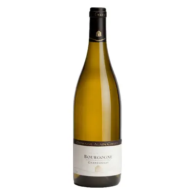 Domaine Alain Chavy Bourgogne Chardonnay 2022