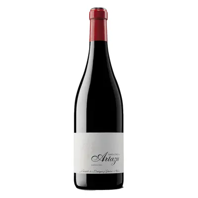 Artadi Santa Cruz de Artazu 2020