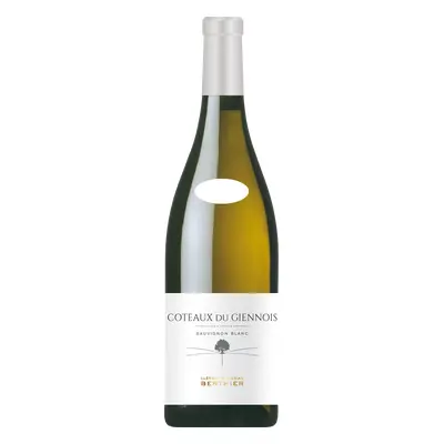 Clement & Florian Berthier Coteaux du Giennois Blanc 2023