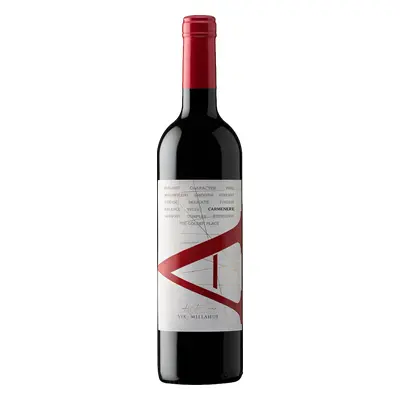 Vina Vik A Carmenere 2021